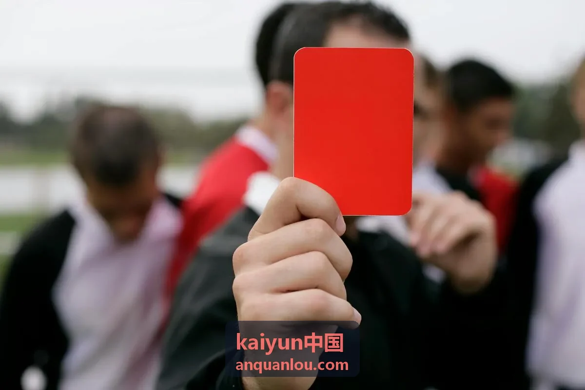 kaiyun中国 服务指南板块内容示意