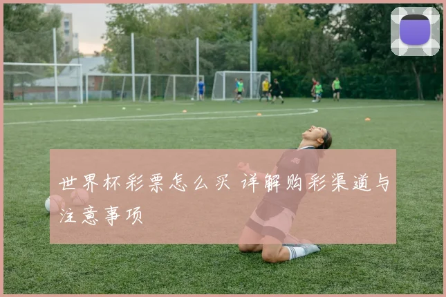 世界杯彩票怎么买 详解购彩渠道与注意事项