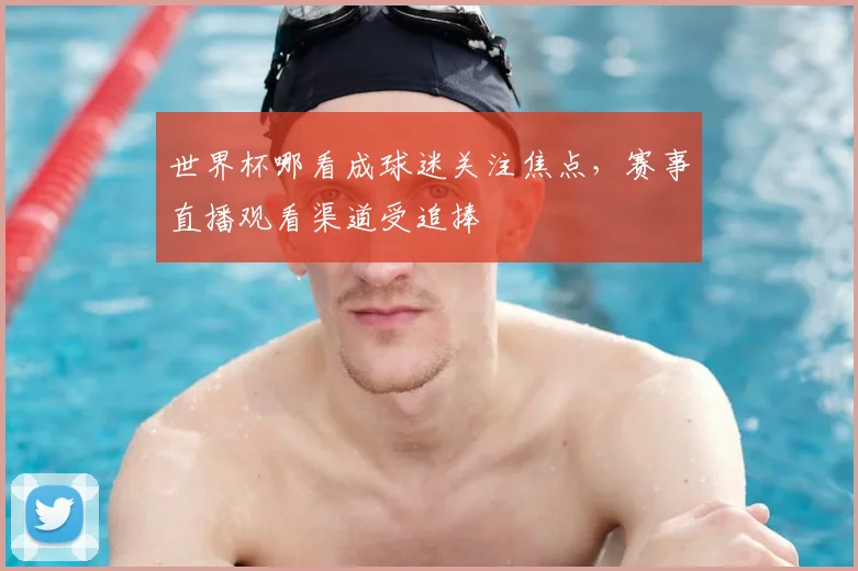 世界杯哪看成球迷关注焦点,赛事直播观看渠道受追捧