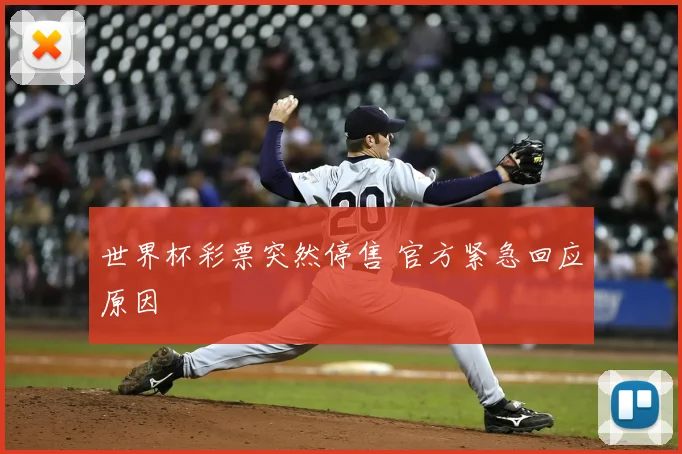世界杯彩票突然停售 官方紧急回应原因